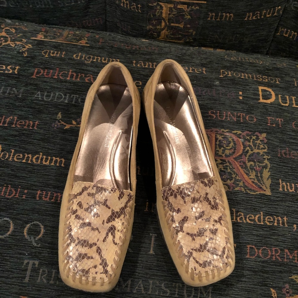 Snakeskin shoes